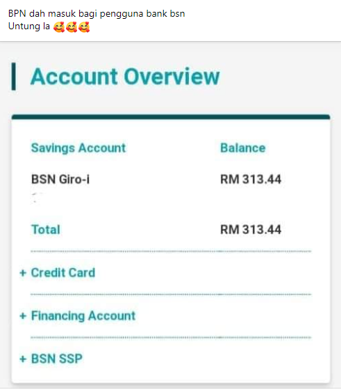bpn dah masuk bsn