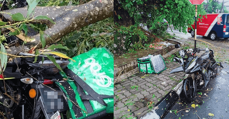 Penunggang Grab Food Maut Dihempap Pokok Ketika Hujan Lebat