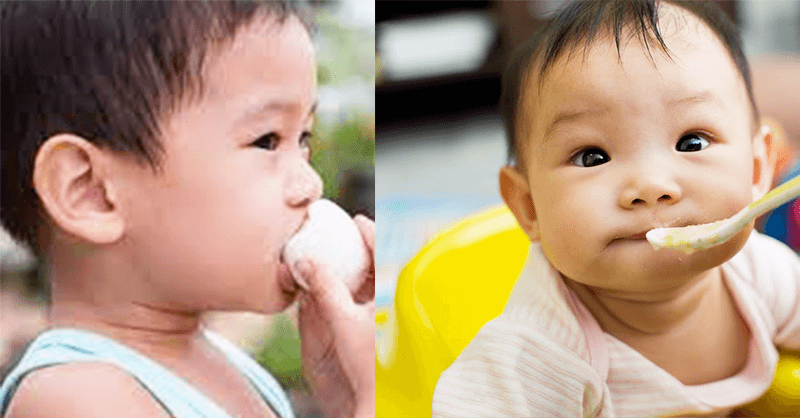 Bagus Anak Suka Telur! Lauk Simple, Khasiatnya Banyak Terutama Untuk Perkembangan Otak